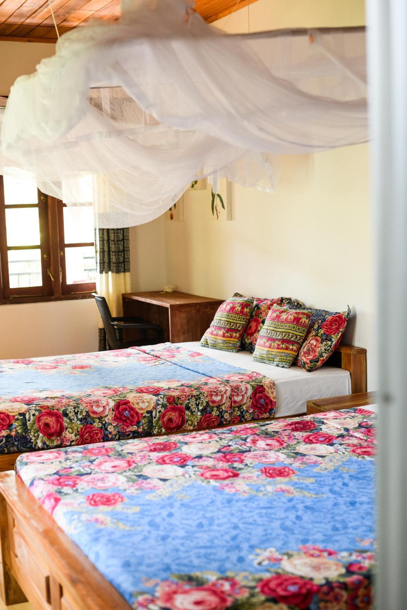 Relax Beach House タンガラ エクステリア 写真